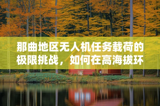那曲地区无人机任务载荷的极限挑战，如何在高海拔环境下优化载荷性能？