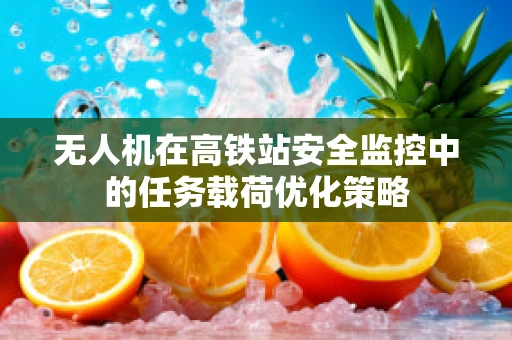 无人机在高铁站安全监控中的任务载荷优化策略
