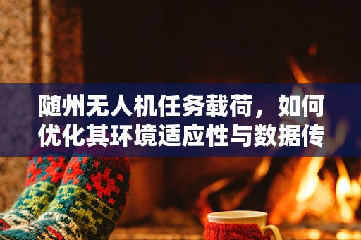 随州无人机任务载荷，如何优化其环境适应性与数据传输效率？