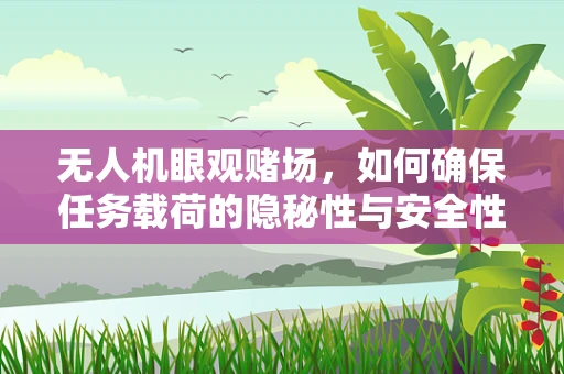 无人机眼观赌场，如何确保任务载荷的隐秘性与安全性？