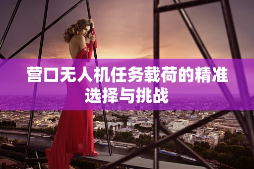 营口无人机任务载荷的精准选择与挑战