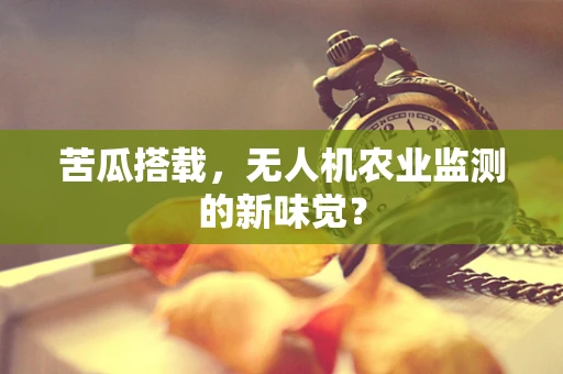 苦瓜搭载，无人机农业监测的新味觉？
