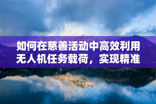 如何在慈善活动中高效利用无人机任务载荷，实现精准援助？