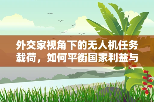 外交家视角下的无人机任务载荷，如何平衡国家利益与国际合作？