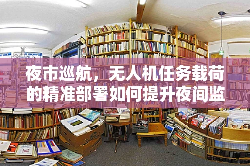 夜市巡航，无人机任务载荷的精准部署如何提升夜间监控效率？