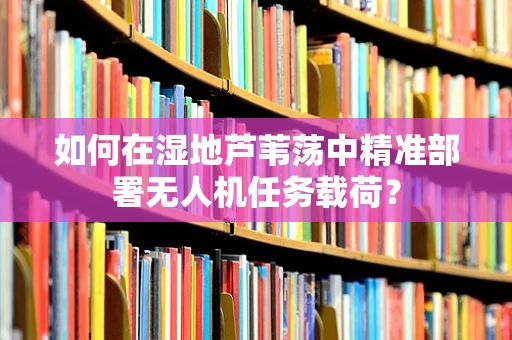 如何在湿地芦苇荡中精准部署无人机任务载荷？
