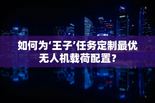 如何为‘王子’任务定制最优无人机载荷配置？