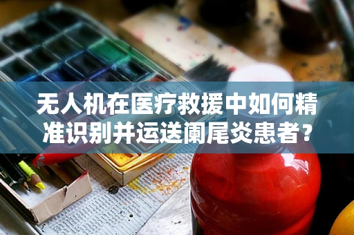 无人机在医疗救援中如何精准识别并运送阑尾炎患者？