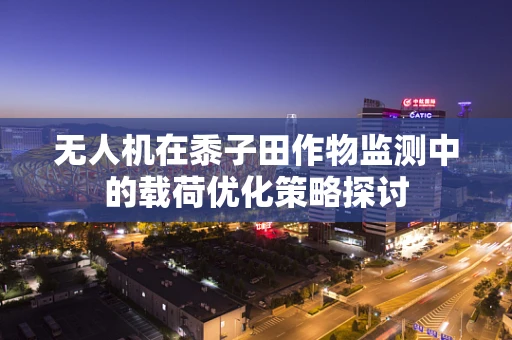 无人机在黍子田作物监测中的载荷优化策略探讨