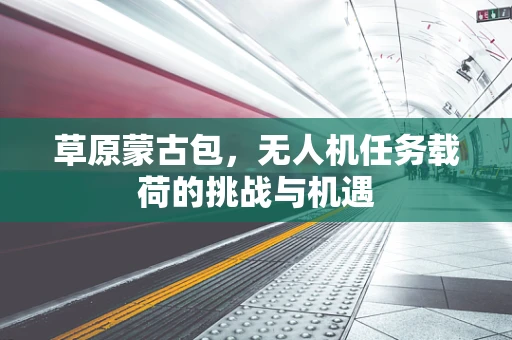 草原蒙古包，无人机任务载荷的挑战与机遇