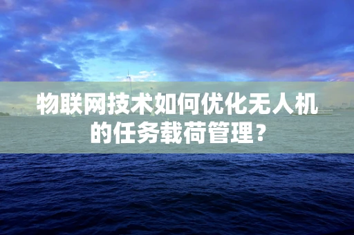 物联网技术如何优化无人机的任务载荷管理？