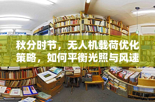 秋分时节，无人机载荷优化策略，如何平衡光照与风速影响？