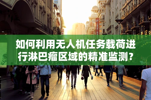 如何利用无人机任务载荷进行淋巴瘤区域的精准监测？