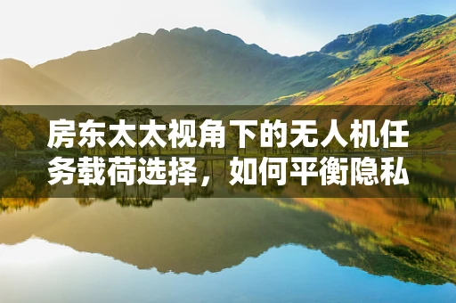 房东太太视角下的无人机任务载荷选择，如何平衡隐私与安全？