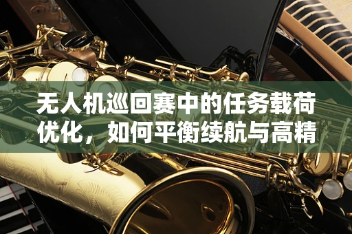 无人机巡回赛中的任务载荷优化，如何平衡续航与高精度成像？