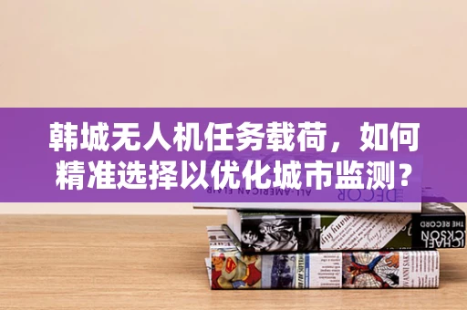 韩城无人机任务载荷，如何精准选择以优化城市监测？