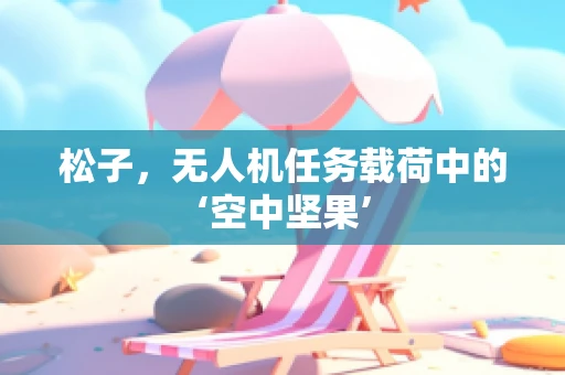 松子，无人机任务载荷中的‘空中坚果’
