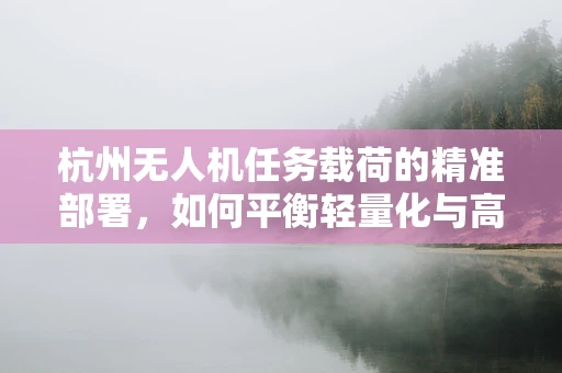 杭州无人机任务载荷的精准部署，如何平衡轻量化与高效率？