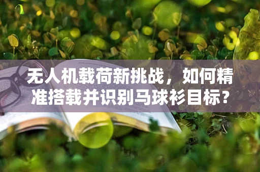 无人机载荷新挑战，如何精准搭载并识别马球衫目标？