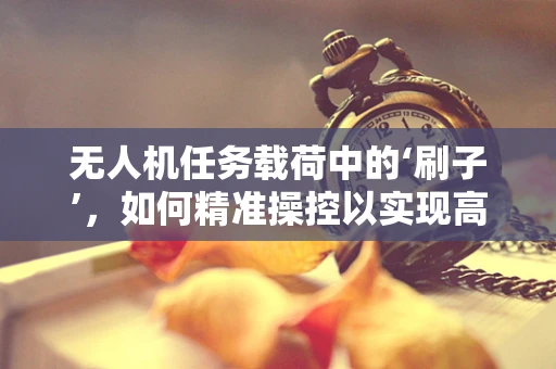 无人机任务载荷中的‘刷子’，如何精准操控以实现高效作业？