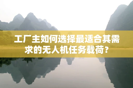 工厂主如何选择最适合其需求的无人机任务载荷？