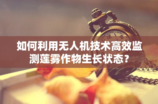 如何利用无人机技术高效监测莲雾作物生长状态？