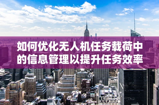 如何优化无人机任务载荷中的信息管理以提升任务效率？