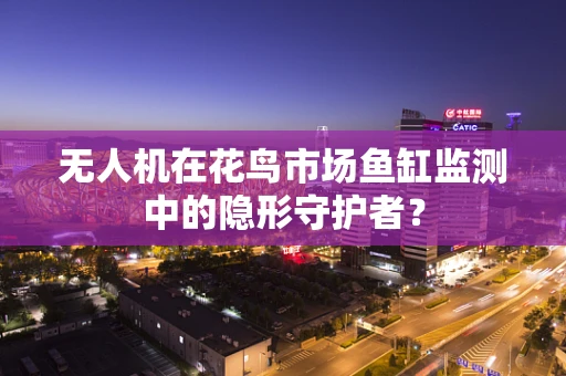 无人机在花鸟市场鱼缸监测中的隐形守护者？