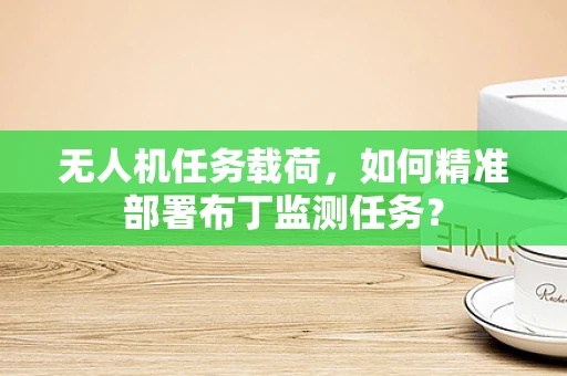 无人机任务载荷，如何精准部署布丁监测任务？