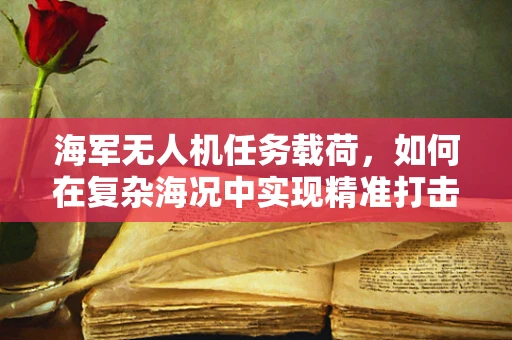 海军无人机任务载荷，如何在复杂海况中实现精准打击？