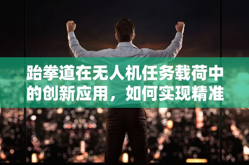 跆拳道在无人机任务载荷中的创新应用，如何实现精准打击与安全监控？