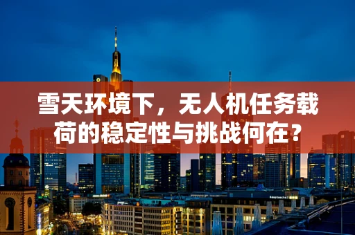 雪天环境下，无人机任务载荷的稳定性与挑战何在？