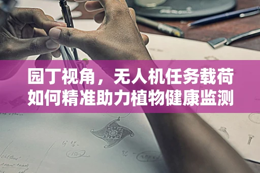 园丁视角，无人机任务载荷如何精准助力植物健康监测？