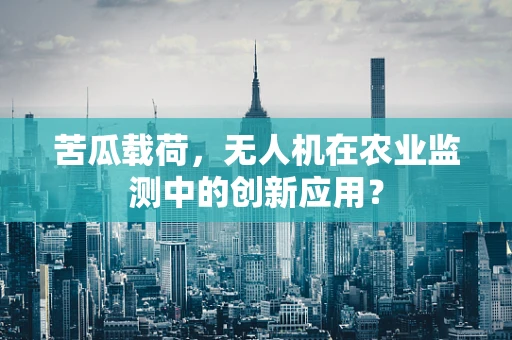 苦瓜载荷，无人机在农业监测中的创新应用？