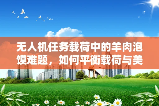 无人机任务载荷中的羊肉泡馍难题，如何平衡载荷与美食？