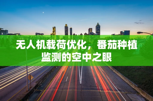 无人机载荷优化，番茄种植监测的空中之眼