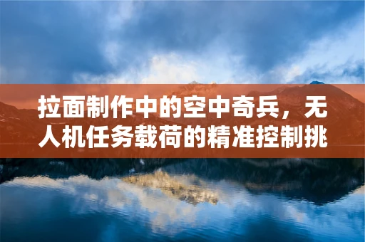 拉面制作中的空中奇兵，无人机任务载荷的精准控制挑战