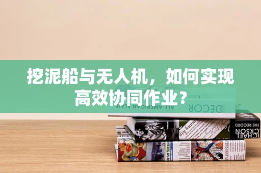 挖泥船与无人机，如何实现高效协同作业？