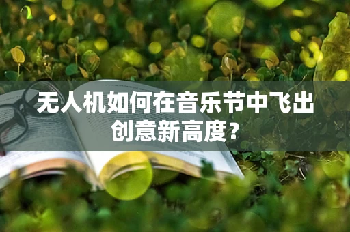 无人机如何在音乐节中飞出创意新高度？