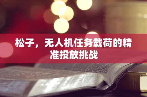 松子，无人机任务载荷的精准投放挑战