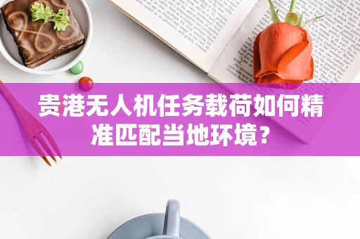 贵港无人机任务载荷如何精准匹配当地环境？