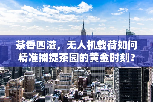 茶香四溢，无人机载荷如何精准捕捉茶园的黄金时刻？
