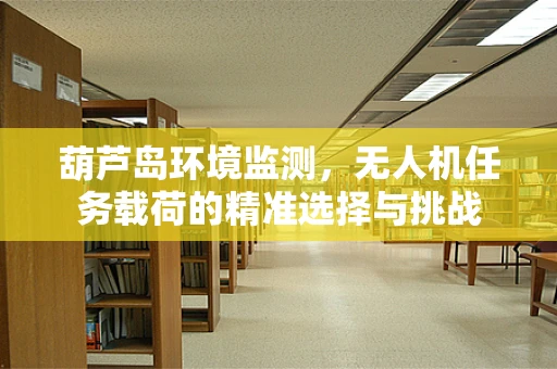 葫芦岛环境监测，无人机任务载荷的精准选择与挑战