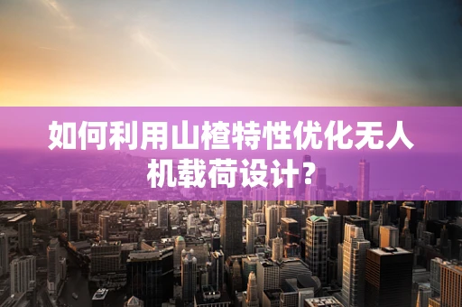 如何利用山楂特性优化无人机载荷设计？