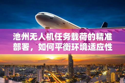 池州无人机任务载荷的精准部署，如何平衡环境适应性与任务效率？
