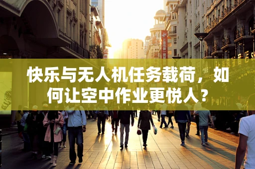 快乐与无人机任务载荷，如何让空中作业更悦人？