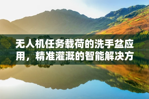 无人机任务载荷的洗手盆应用，精准灌溉的智能解决方案？