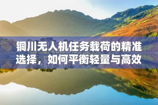 铜川无人机任务载荷的精准选择，如何平衡轻量与高效？