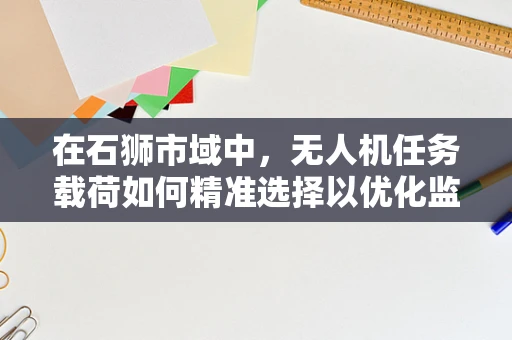 在石狮市域中，无人机任务载荷如何精准选择以优化监测效率？