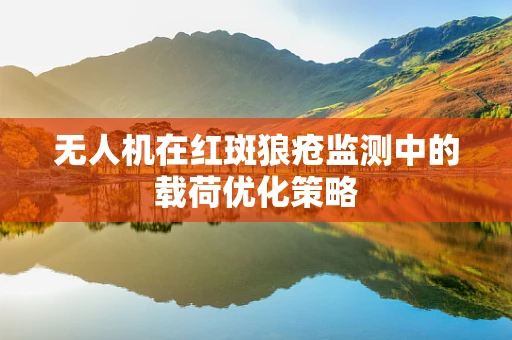 无人机在红斑狼疮监测中的载荷优化策略